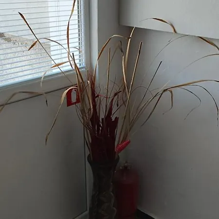 Appartement студио странджа - граматиково