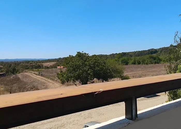 студио странджа - граматиково